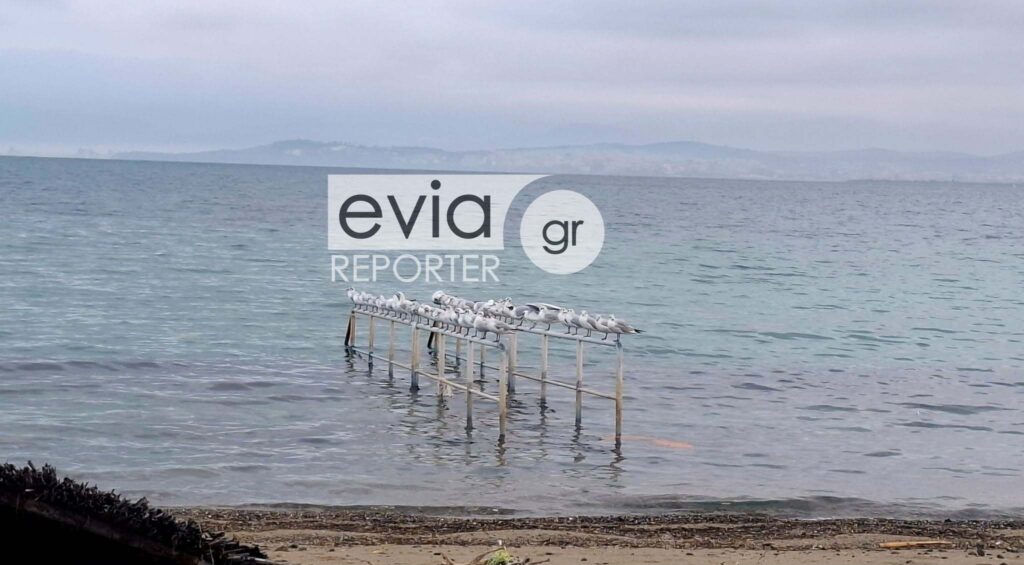 Άστατος καιρός σήμερα Σάββατο 31/1 στην Εύβοια και τη Σκύρο με τοπικές βροχές