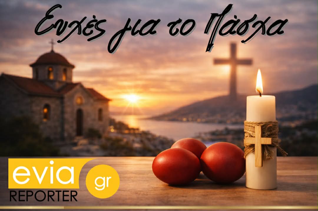 28a4cedb-e14e-4913-9088-f690e21ad718