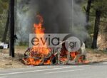 Παρανάλωμα ΙΧ στην Εύβοια – Τυλίχθηκε στις φλόγες ξαφνικά